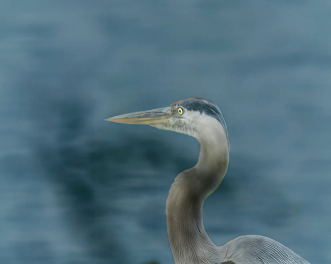 Richard K Cooper History